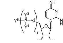 Figure AU2019202835A1_D0184