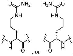 Figure imgf000017_0002