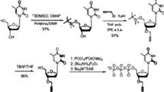 Figure imgf000021_0002