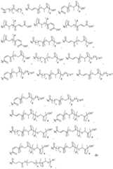 Figure FDA0002537542890000132