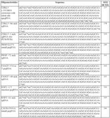 Figure imgf000316_0001