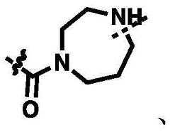 Figure BDA00029640981000001027