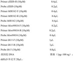 Figure BDA0002973339190000041