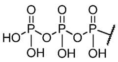 Figure imgf000109_0001