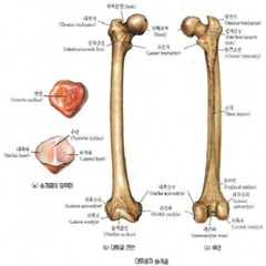 Figure 112008052220531-PAT00002