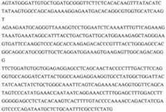 Figure 889630DEST_PATH_IMAGE008