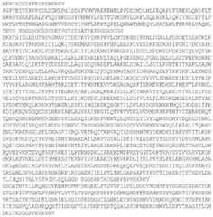 Figure BDA0003873639730000701