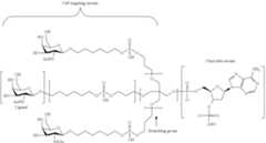 Figure US09181549-20151110-C00595