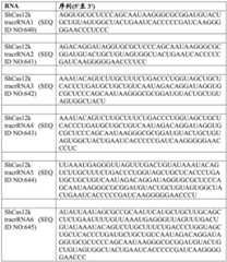 Figure BDA0004033970230004732