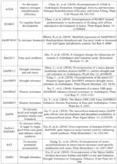 Figure PCTCN2022090268-appb-000052