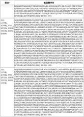 Figure BDA0003627552160001071