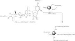 Figure US07214660-20070508-C00112