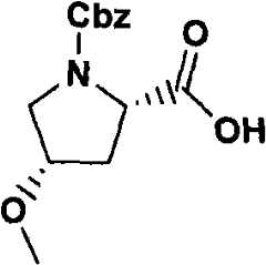 Figure GPA00001066806500492