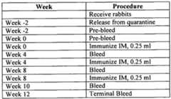 Figure imgf000096_0001