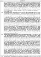 Figure BDA0003627552160002301