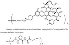 Figure imgf000078_0002