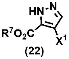 Figure 0007266010000081