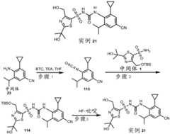 Figure BDA0002935257550004491