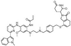 Figure GDA0003276334280001972