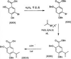 Figure S2006800208056D00631