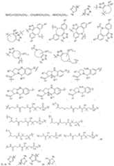 Figure imgf000164_0001