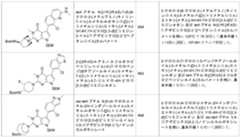 Figure 0007174143000335