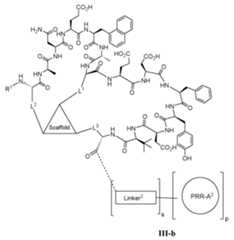 Figure imgf000081_0001