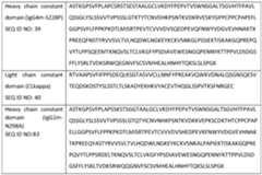 Figure imgf000047_0001