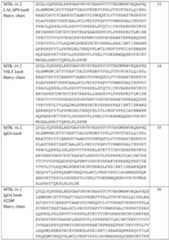 Figure imgf000085_0001