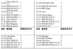 Figure BDA0001462269490000371