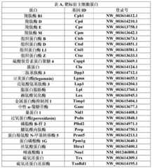 Figure 427777DEST_PATH_IMAGE001