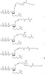 Figure BDA0003670511740001961