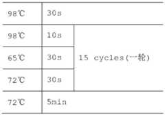 Figure BDA0001386112120000211