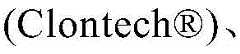 Figure BDA0003106371180000321