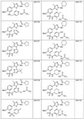 Figure imgf000043_0001