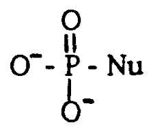 Figure imgf000023_0001