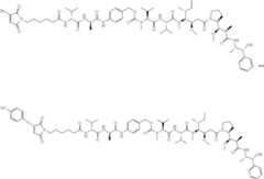 Figure US11873339-20240116-C00073