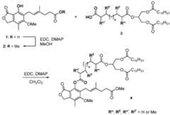 Figure imgf000229_0001