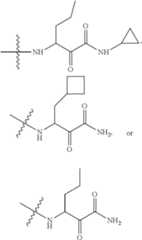 Figure US07964624-20110621-C00075