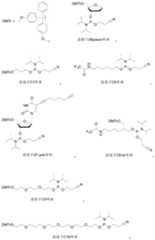 Figure PCTCN2020100030-appb-000020