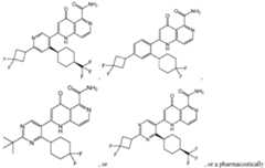 Figure imgf000463_0001