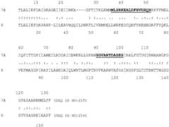 Figure BDA0004113341620000672