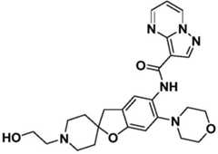 Figure BDA0001702803240005531