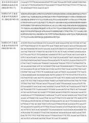 Figure BDA0003154168970000311