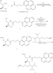 Figure US09107904-20150818-C00002