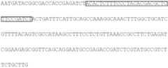 Figure US08236505-20120807-C00014