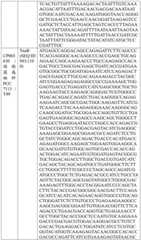 Figure BDA0004033970230005611