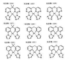 Figure G2009101683156D00591