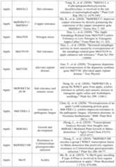 Figure PCTCN2022090268-appb-000024