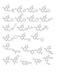 Figure imgf000051_0001